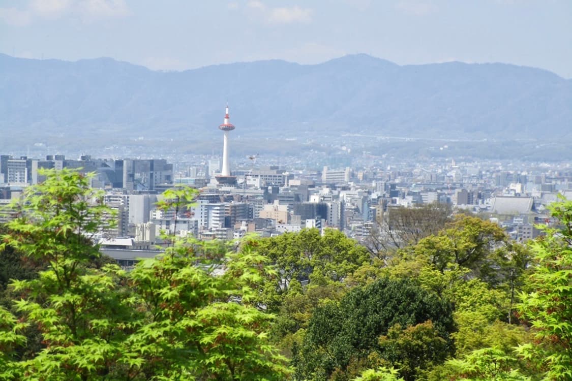 캐논 익서스 Canon IXUS 285 HS 블랙 상품이미지4