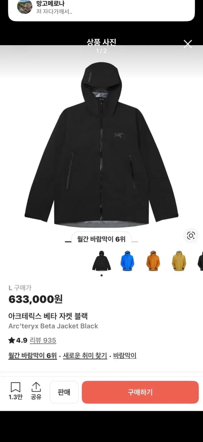 아크테릭스 베타 m-L 교환 상품이미지1