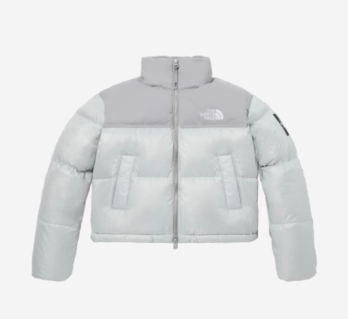 노스페이스 화이트 라벨 노벨티 눕시 다운 자켓 아이스 그레이 95(L) 상품이미지1