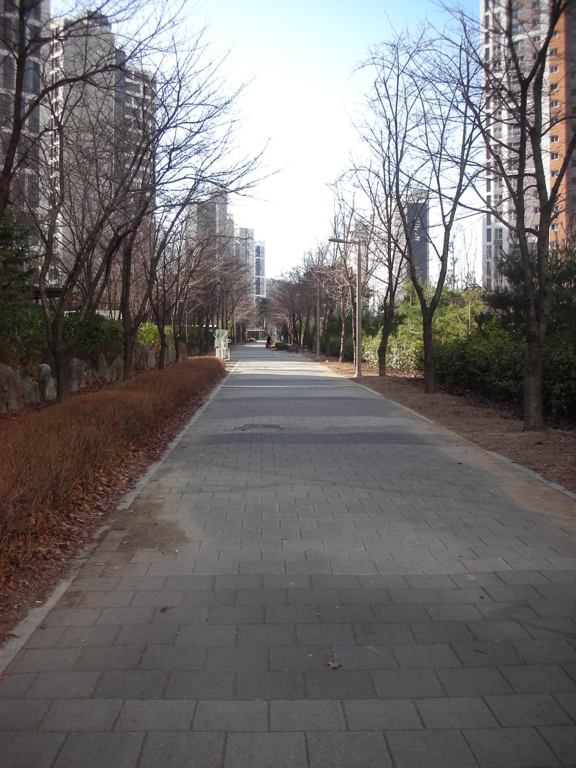 니콘 쿨픽스 s6 디지털카메라 상품이미지5