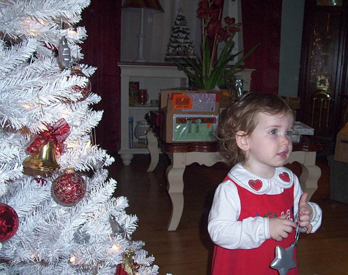 Kodak EasyShare C330 (코닥 이지쉐어 C330) 상품이미지9