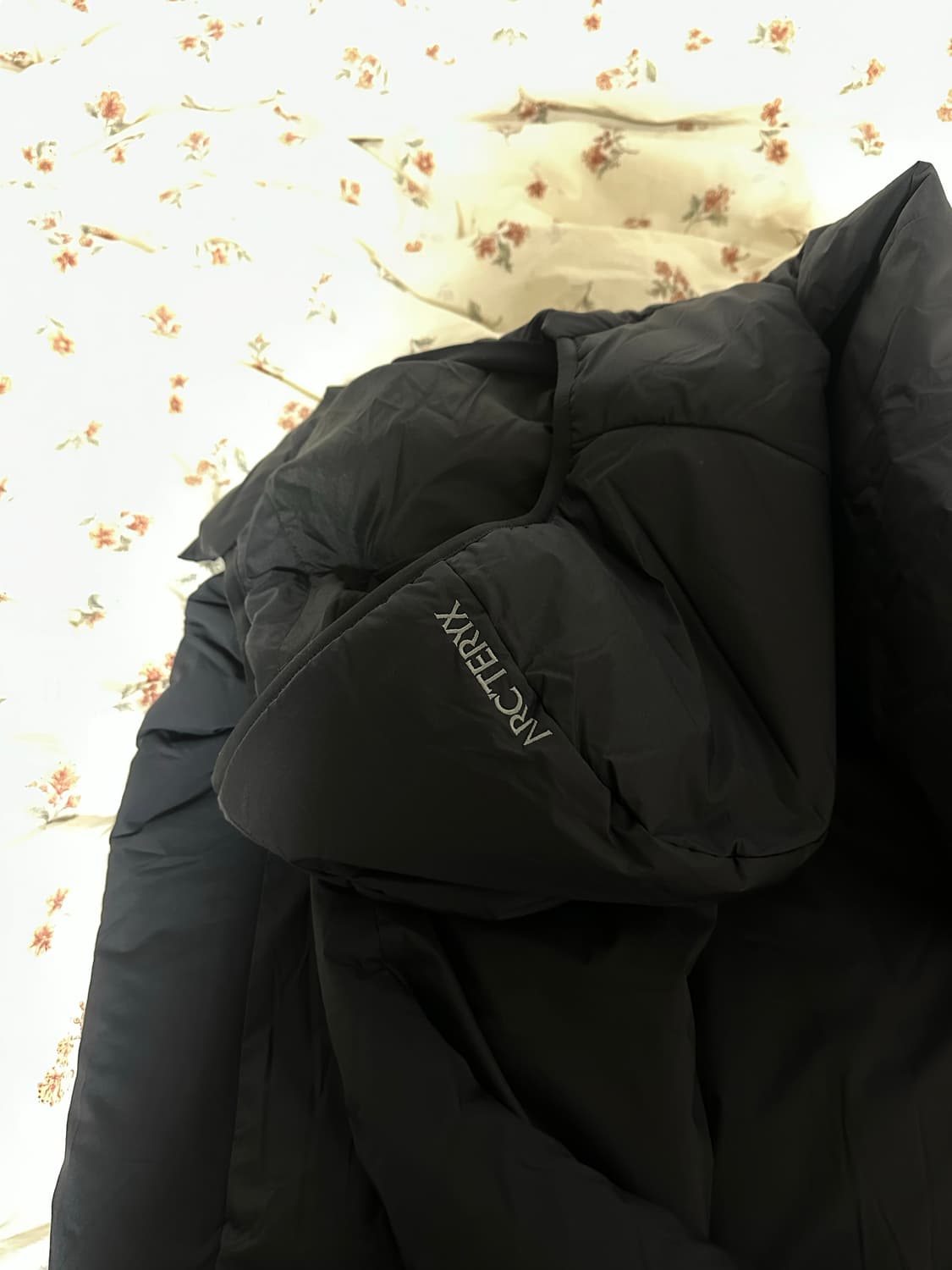 아크테릭스 SV 후디 남성 xs사이즈 상품이미지7