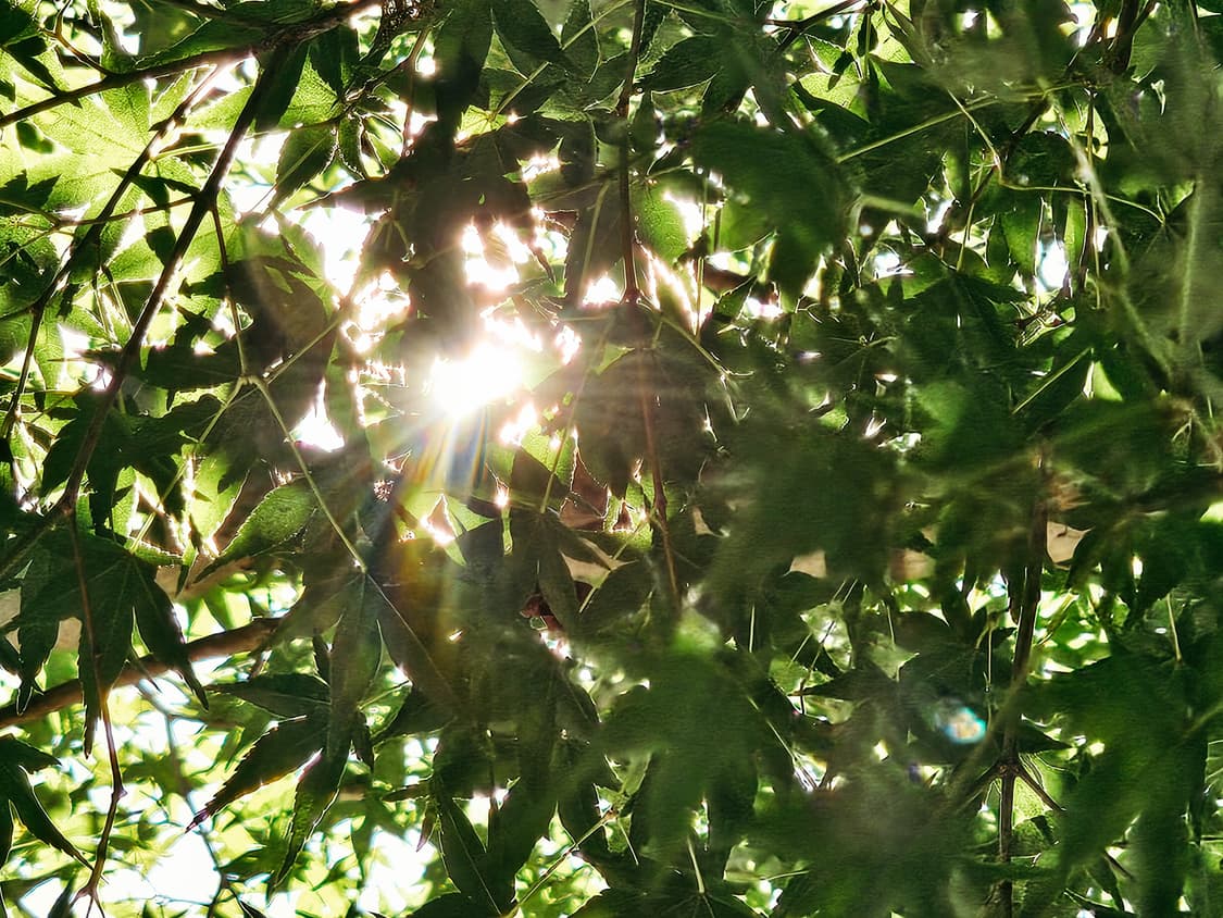 (A급) Pentax Optio S5i (펜탁스 옵티오 S5i) 상품이미지8