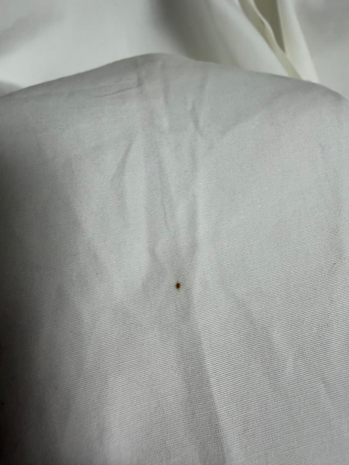 이세이미야케 반팔셔츠 상품이미지4