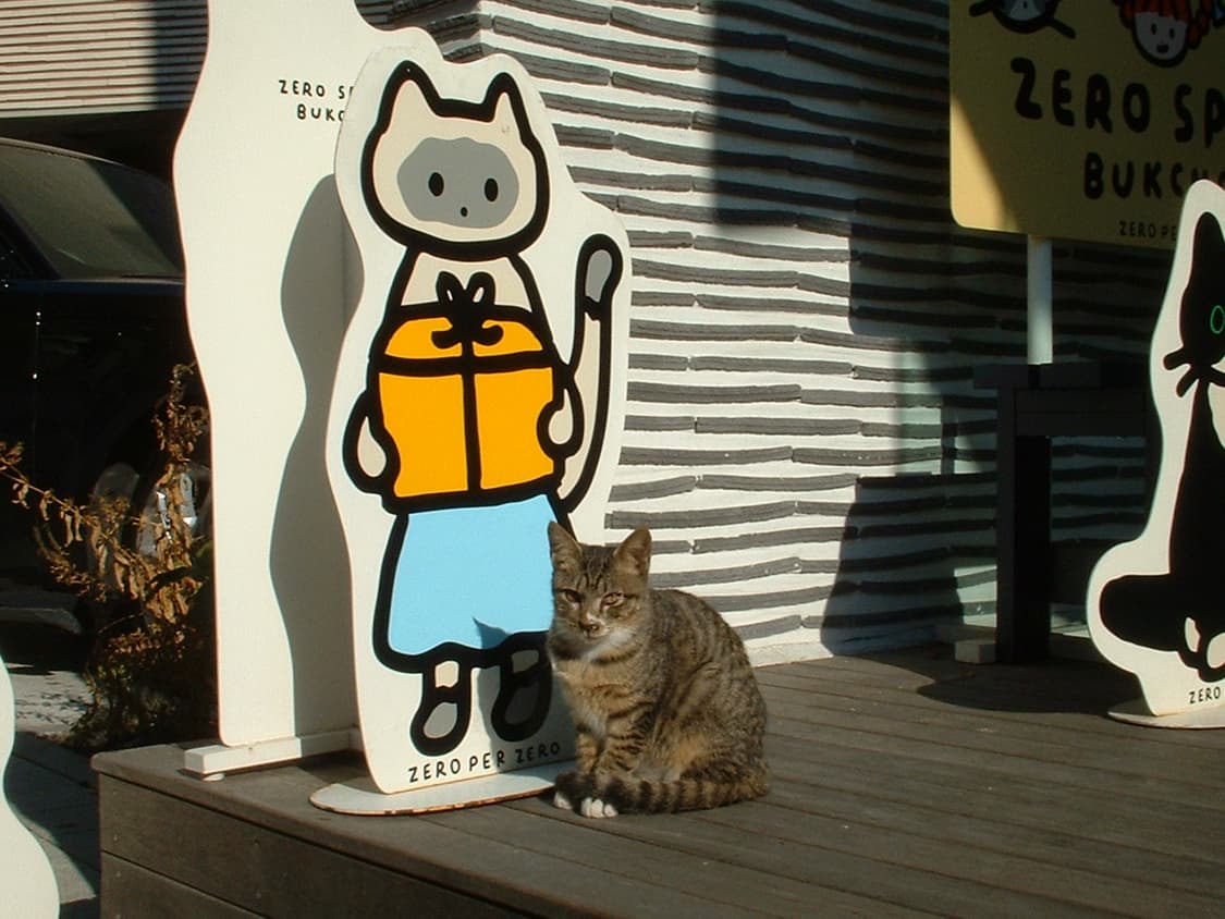 (작례 O) Fujifilm Finepix 후지필름 파인픽스 30i 디카 상품이미지10