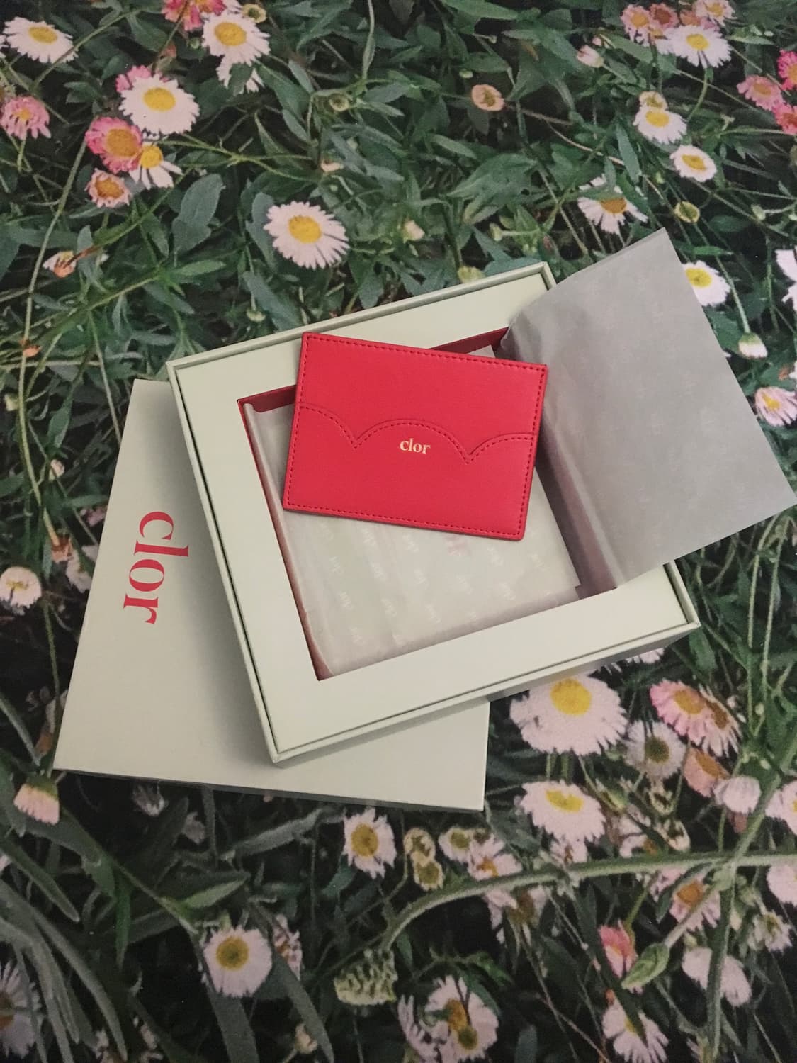 Clor 카드지갑 레드 상품이미지1