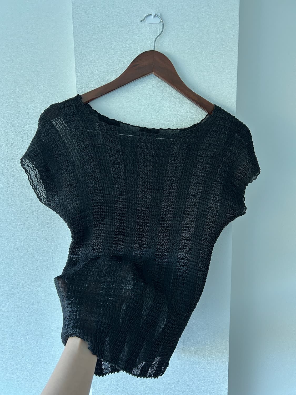 Sheer Pleats Blouse / 빈티지 플리츠 티셔츠 상품이미지5