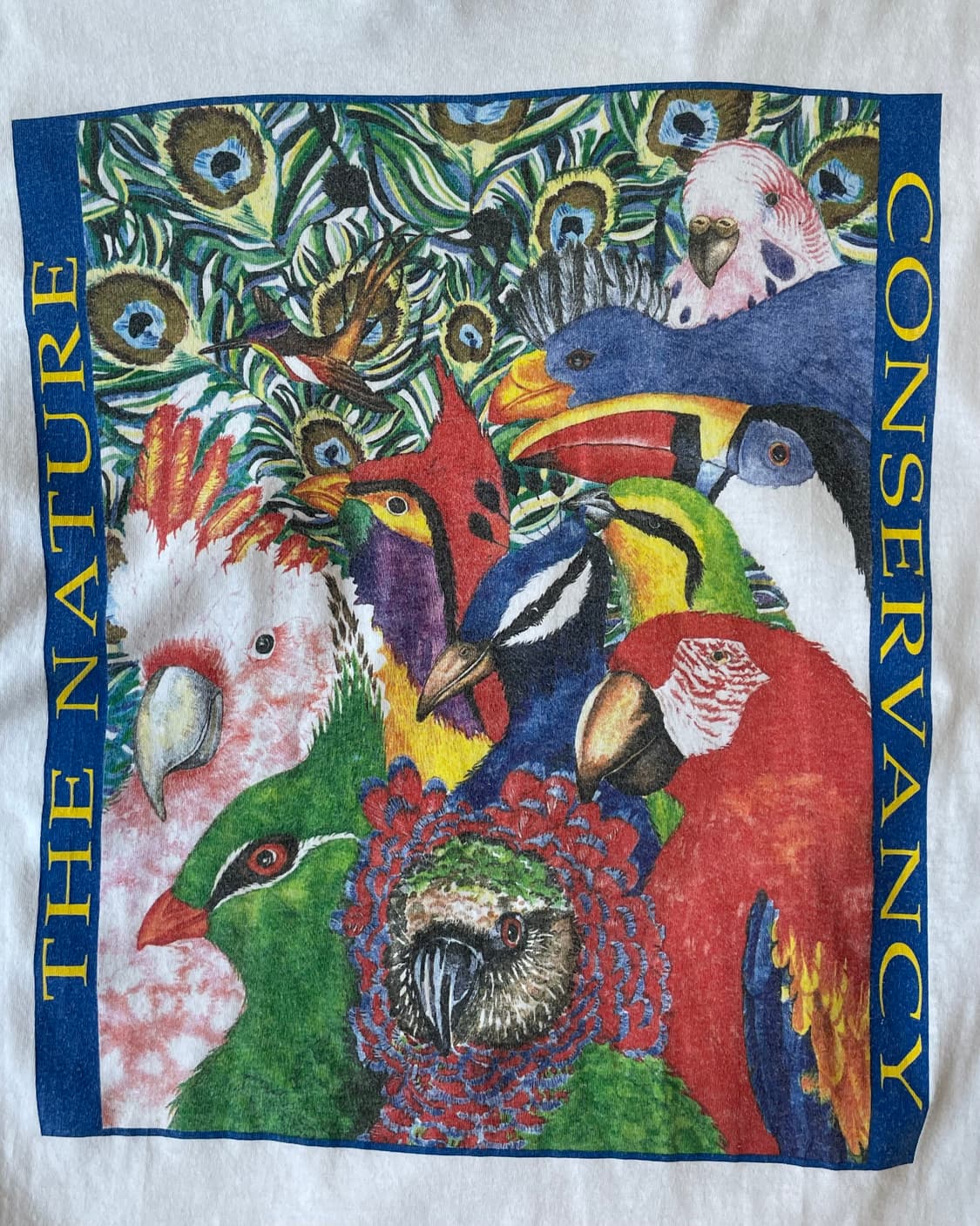 90s USA “The Nature Conservancy” T-shirt 상품이미지4