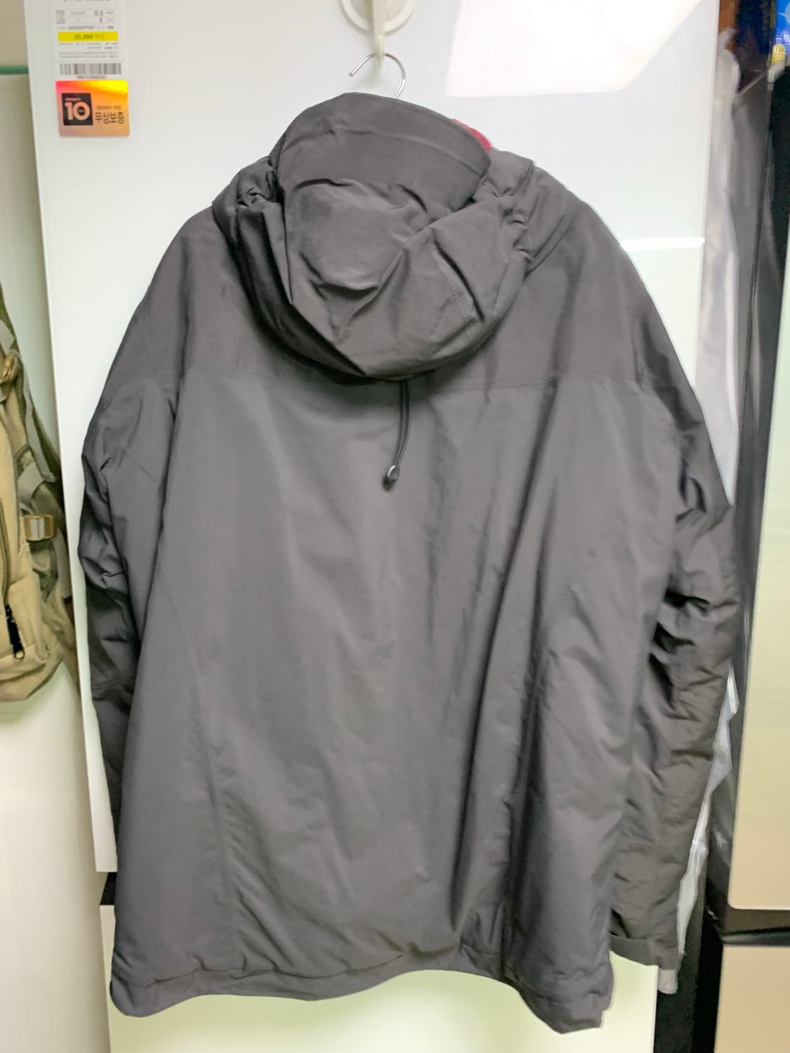 아크테릭스 카파 후디 상품이미지2