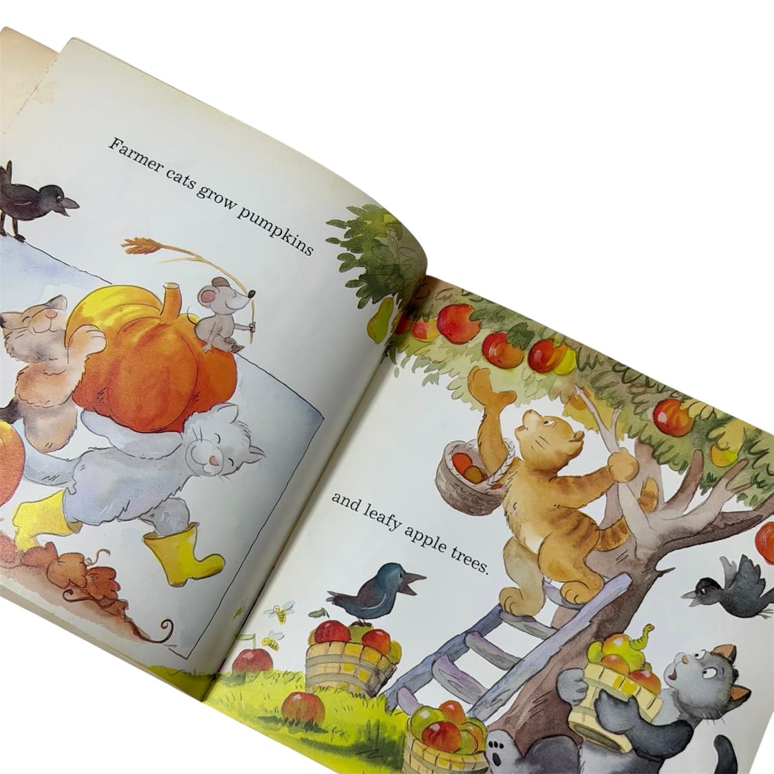90s Autumn Illustration Book "Thanksgivi 상품이미지3
