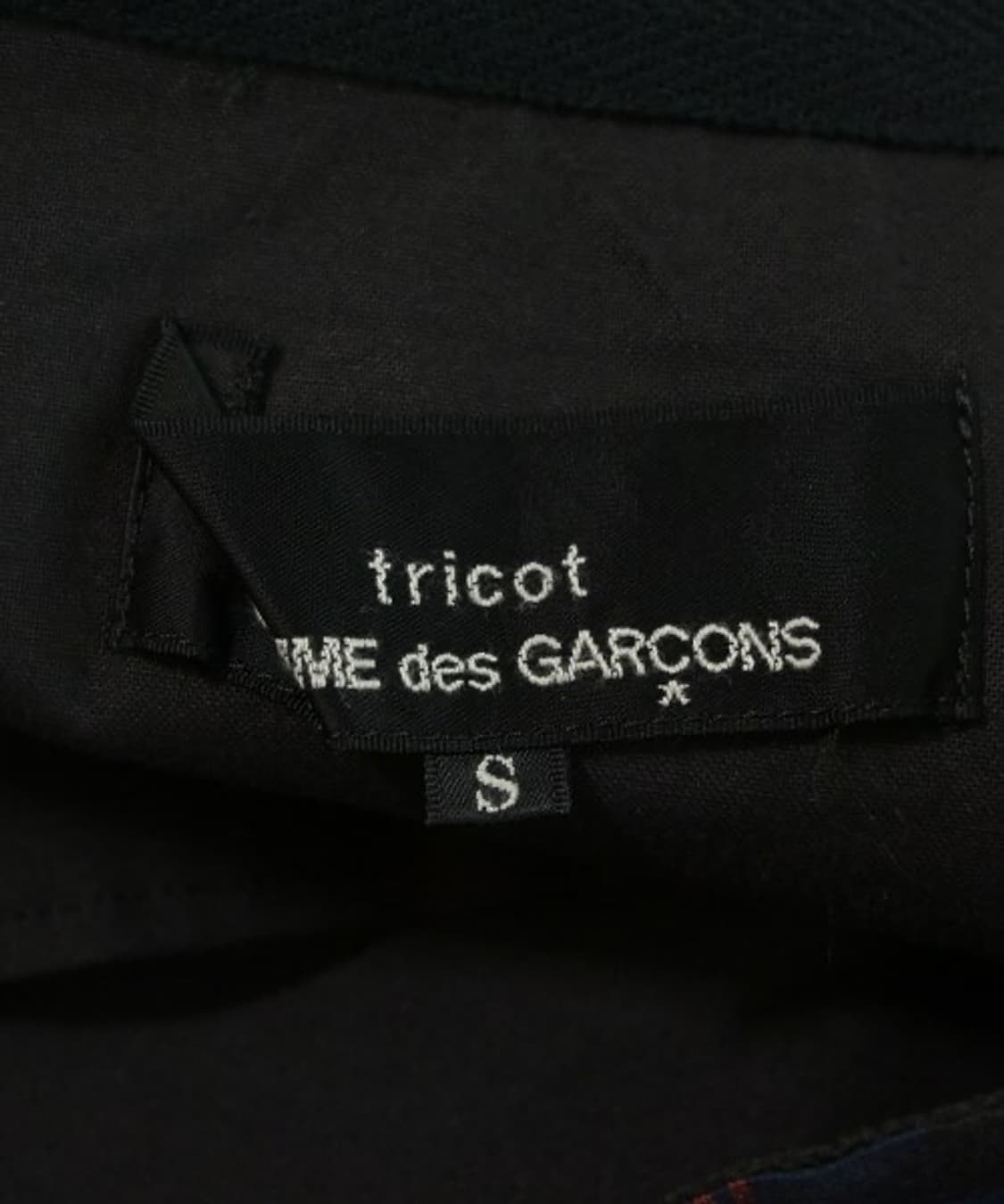 tricot COMME des GARCONS skirt S 상품이미지2