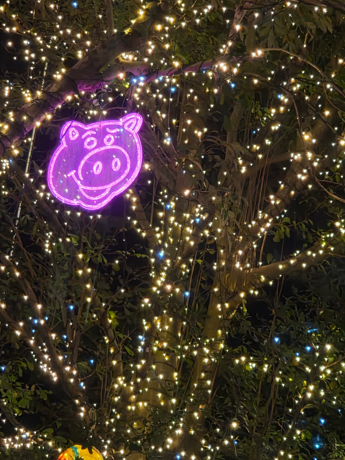 베이프 바지 거래창 입니다ㅏ 상품이미지1