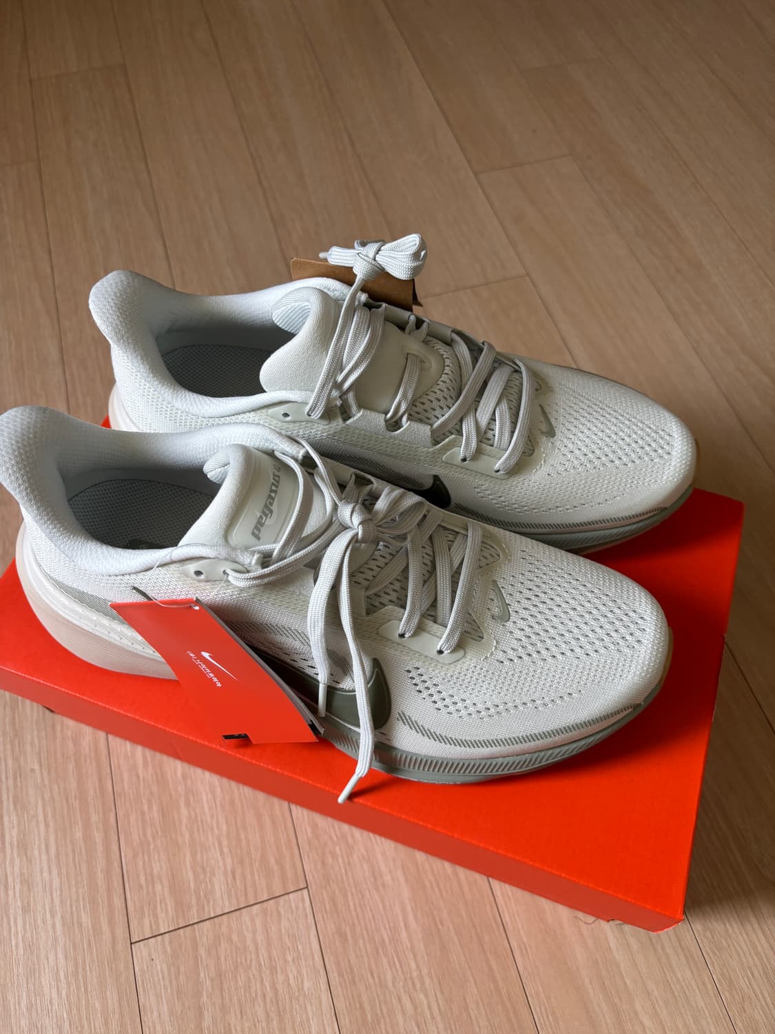 페가수스 42 새제품 260 상품이미지2