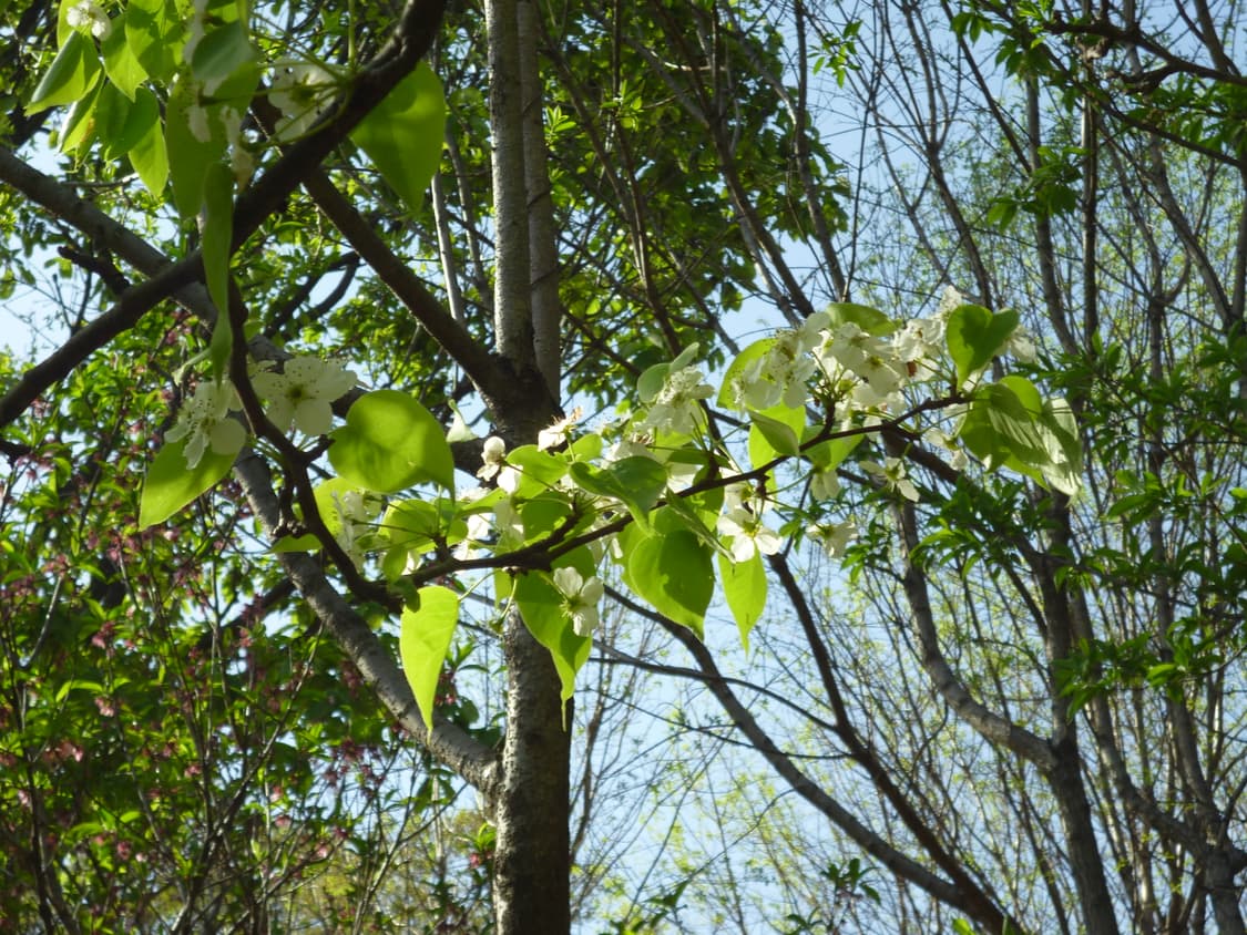 (츄디카/작례O) 파나소닉 루믹스 DMC-S1 빈티지 디카 상품이미지3