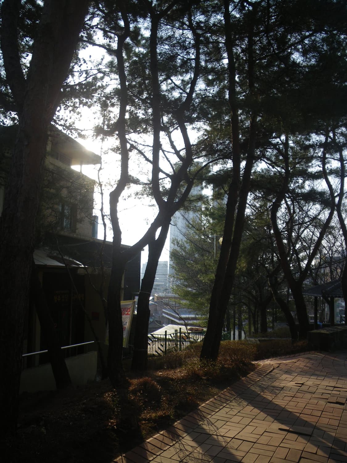 예쁜 방수디카🩷펜탁스 옵티오 W60 핑크 🩷 상품이미지4