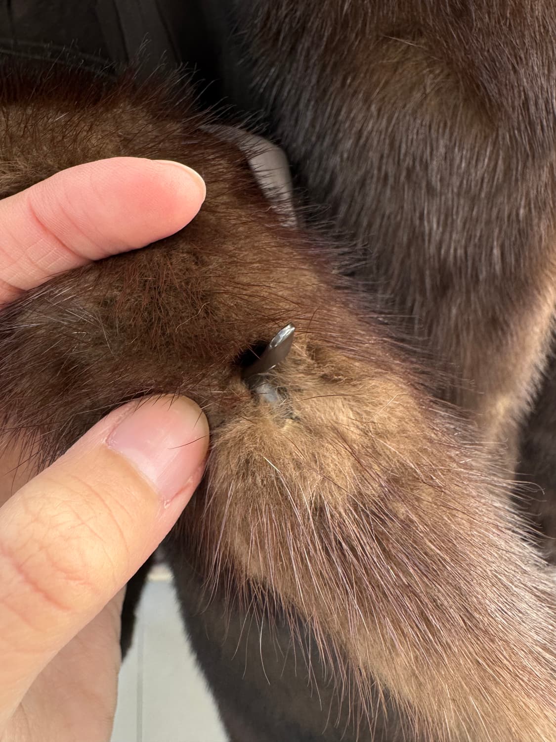 리얼 밍크 자켓 상품이미지3