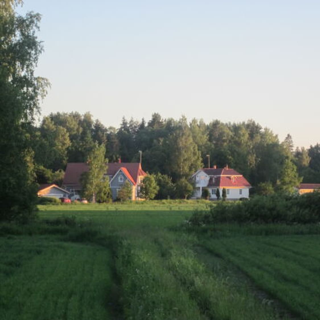 민트) Canon ixus 105 ixy 200f 캐논 익서스 디카 상품이미지10