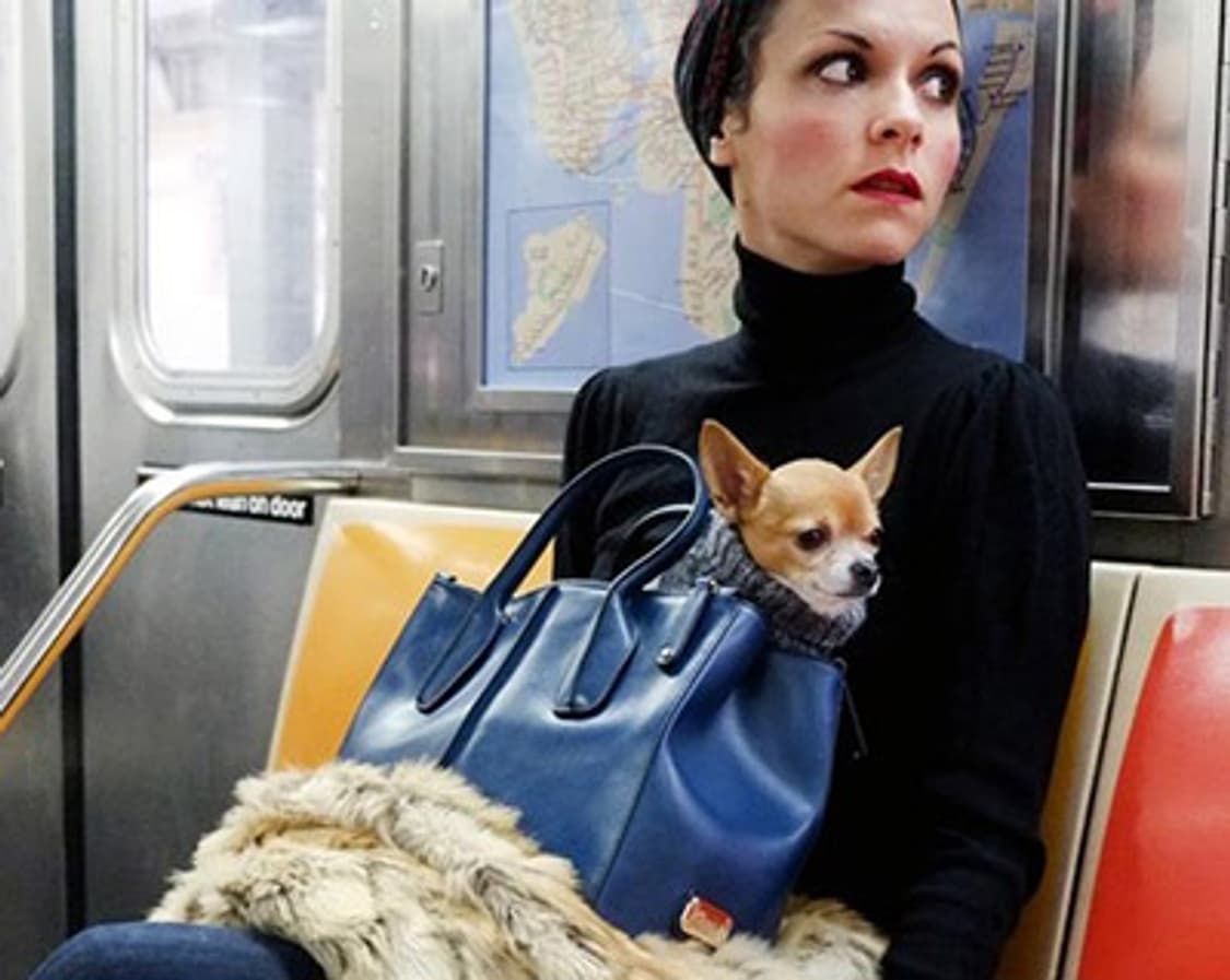 토즈 디백 토트 상품이미지9