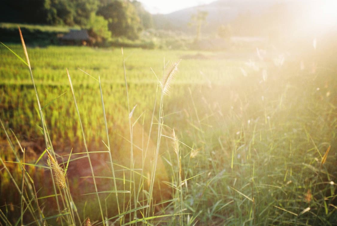 작례O 광각 스냅의 명작 코니카 와이드 28 필름카메라 빈티지 필카 상품이미지3