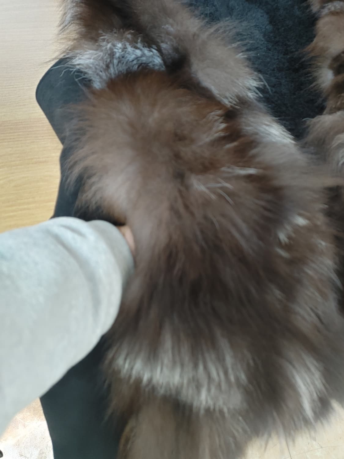 ZIO SONGZIO 송지오 여우털배색 무스탕 후드롱베스트 상품이미지5