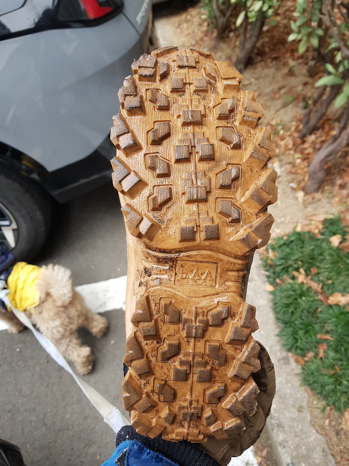 베이지색 등산화/워킹화 EU 44 판매 상품이미지4