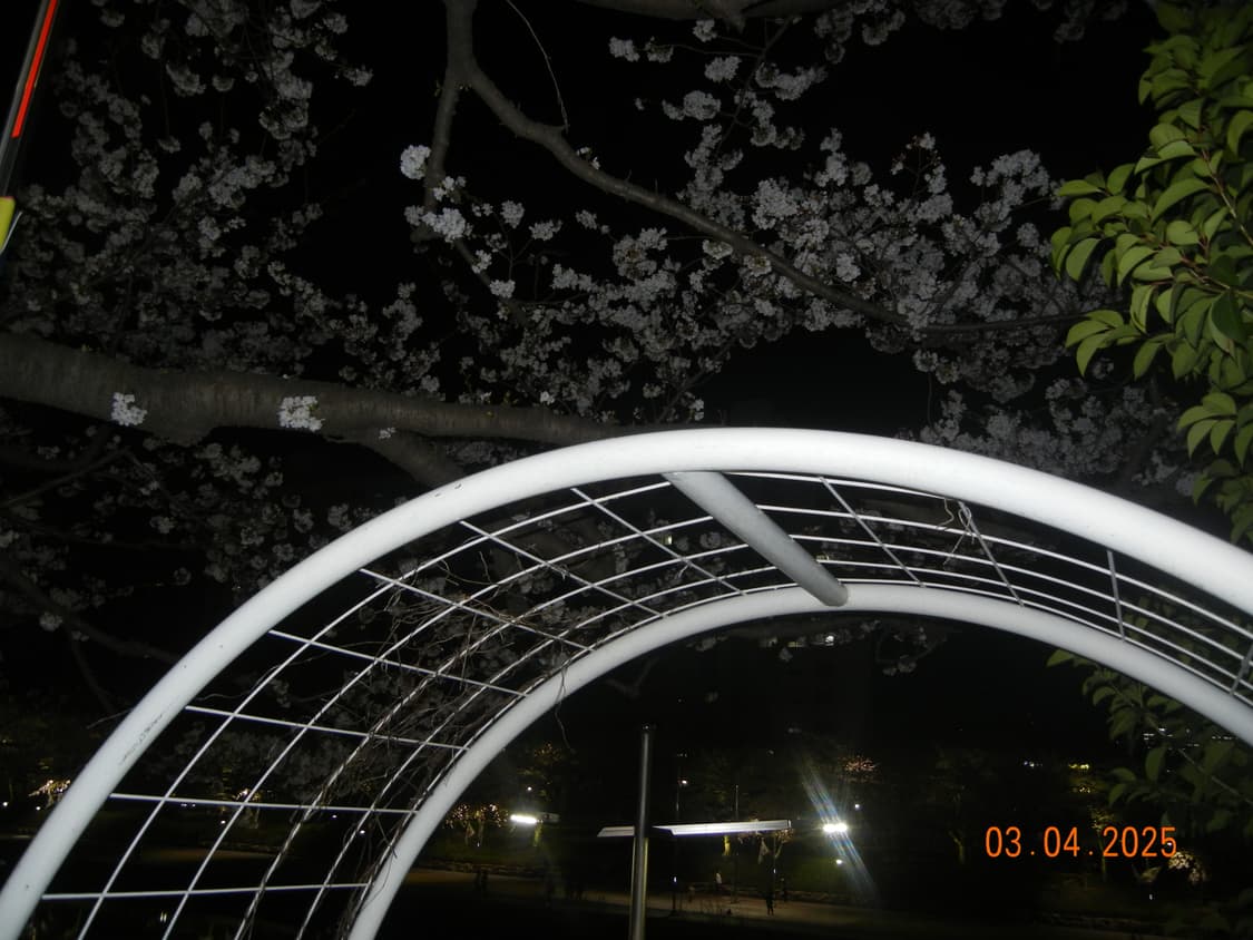 니콘 쿨픽스 s8100 디카 디지털카메라 판매 상품이미지6