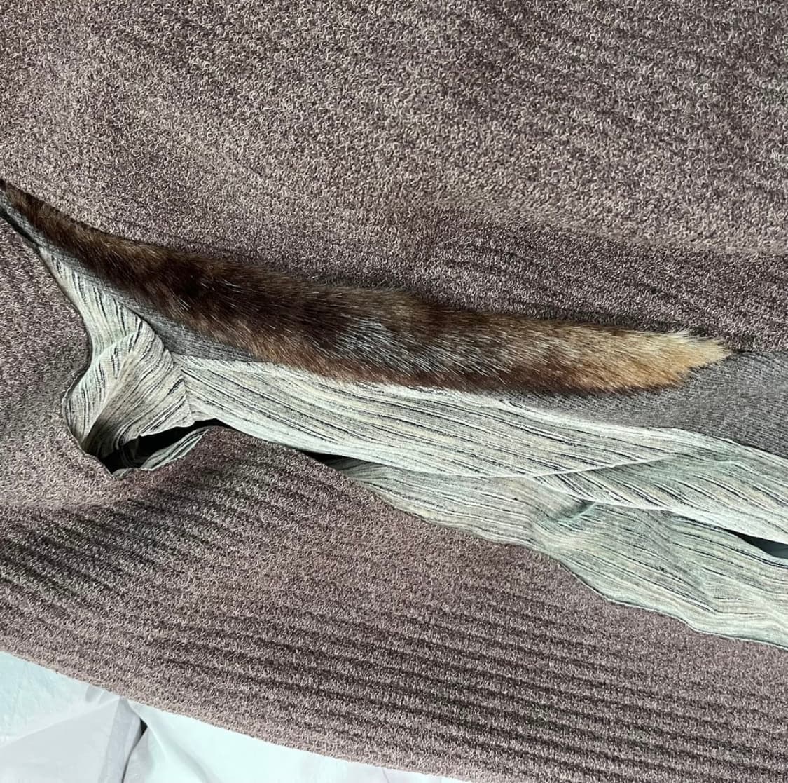 엑슬림 ep8 져지 브라운 상품이미지3