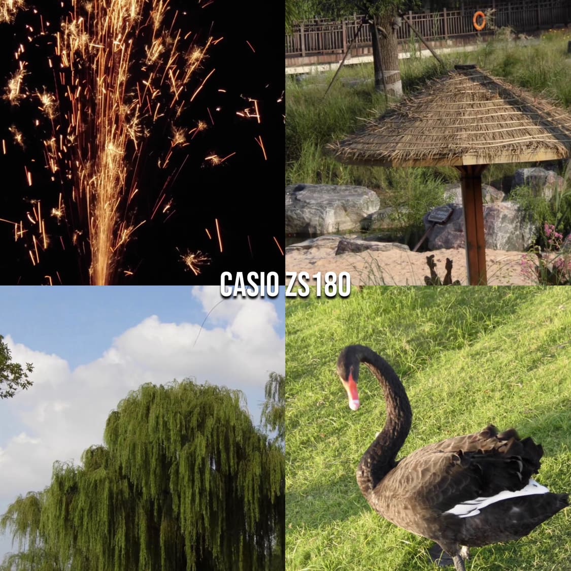 작례⭕️ 카시오 엑슬림 Casio Exilim ZS180 화이트 디카 상품이미지2