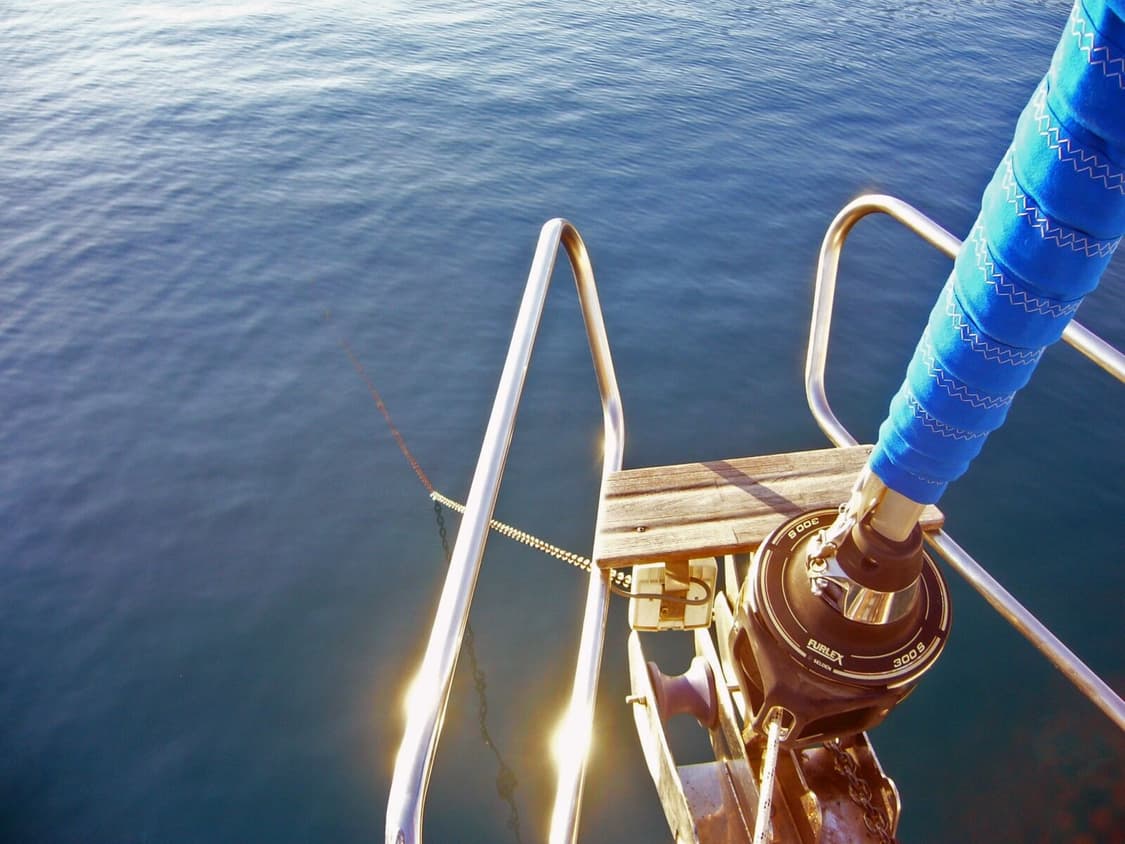 [소프트스킨&입문!] 파나소닉 루믹스 DMC-FX8 핑크 디지털카메라 상품이미지8