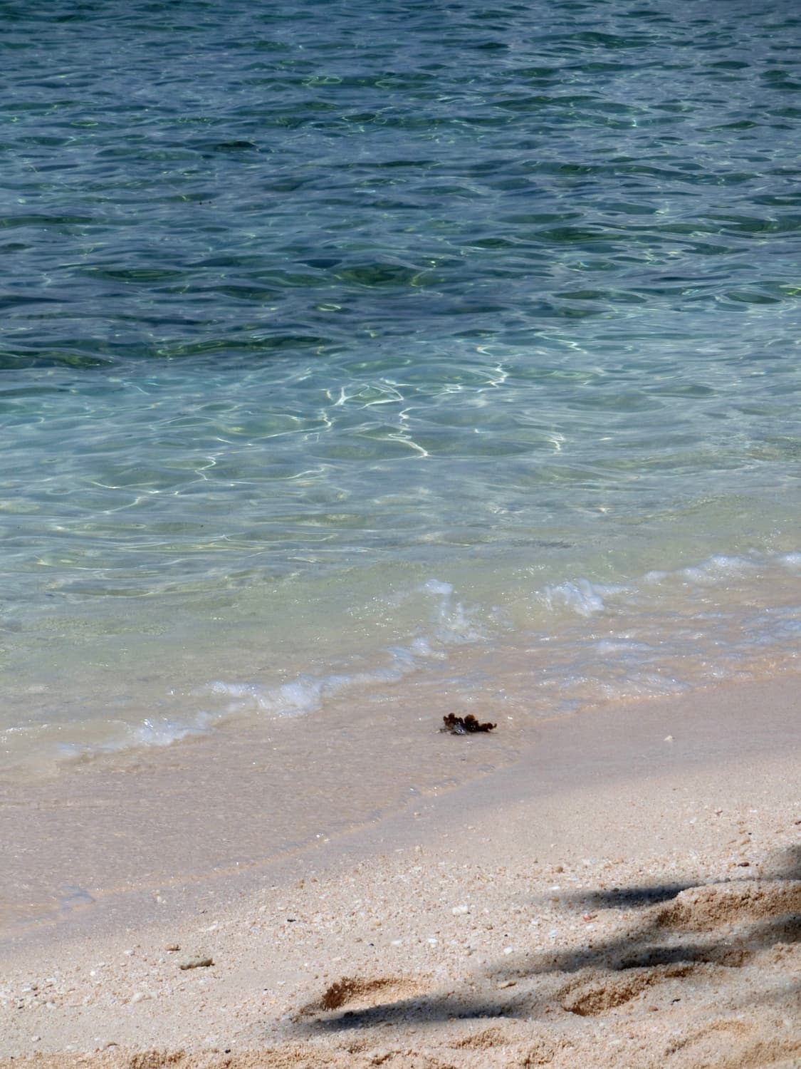 작례O Casio exilim zr50/카시오 엑슬림 zr50 핑크 상품이미지6