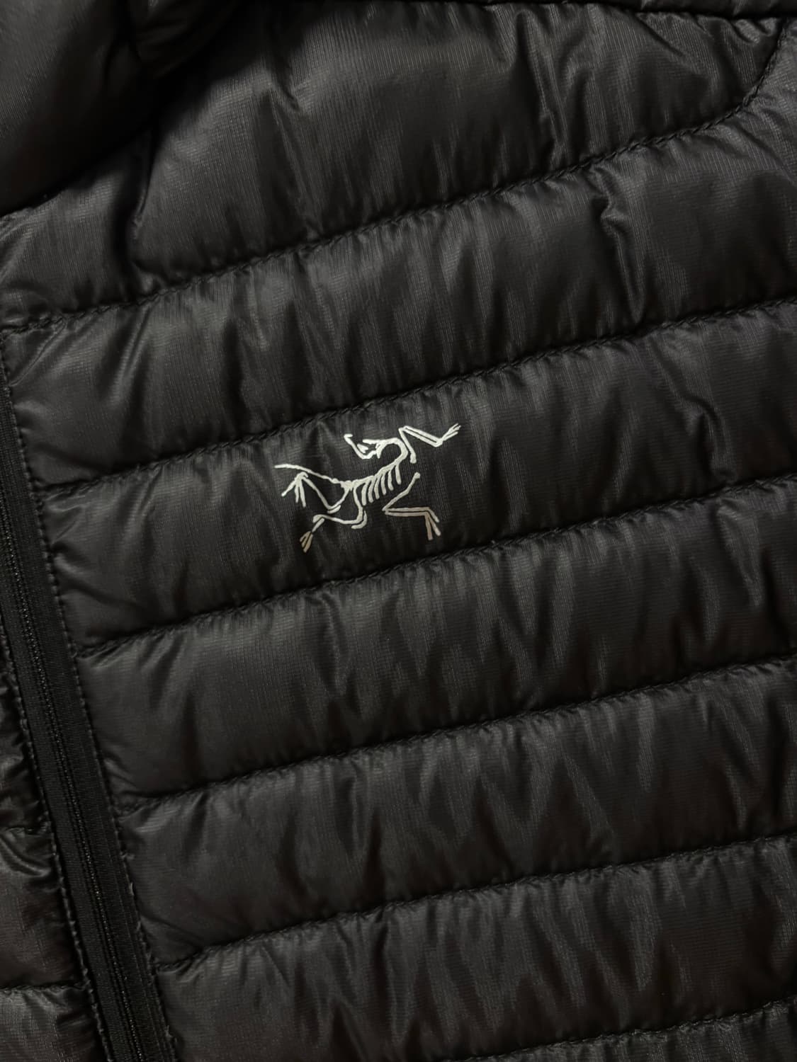 아크테릭스 세륨 sl 후디 상품이미지8