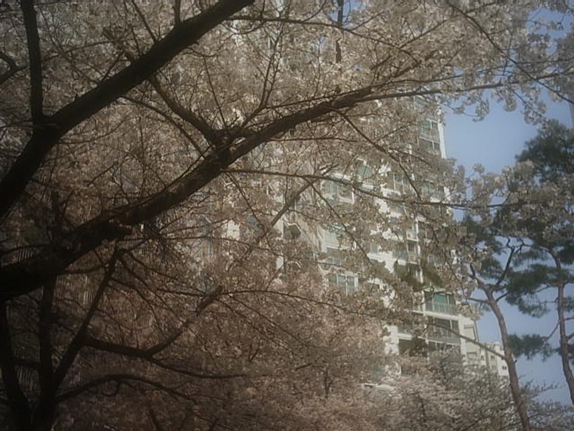 HITACHI HDC-1 디지털카메라(작례o) 상품이미지8