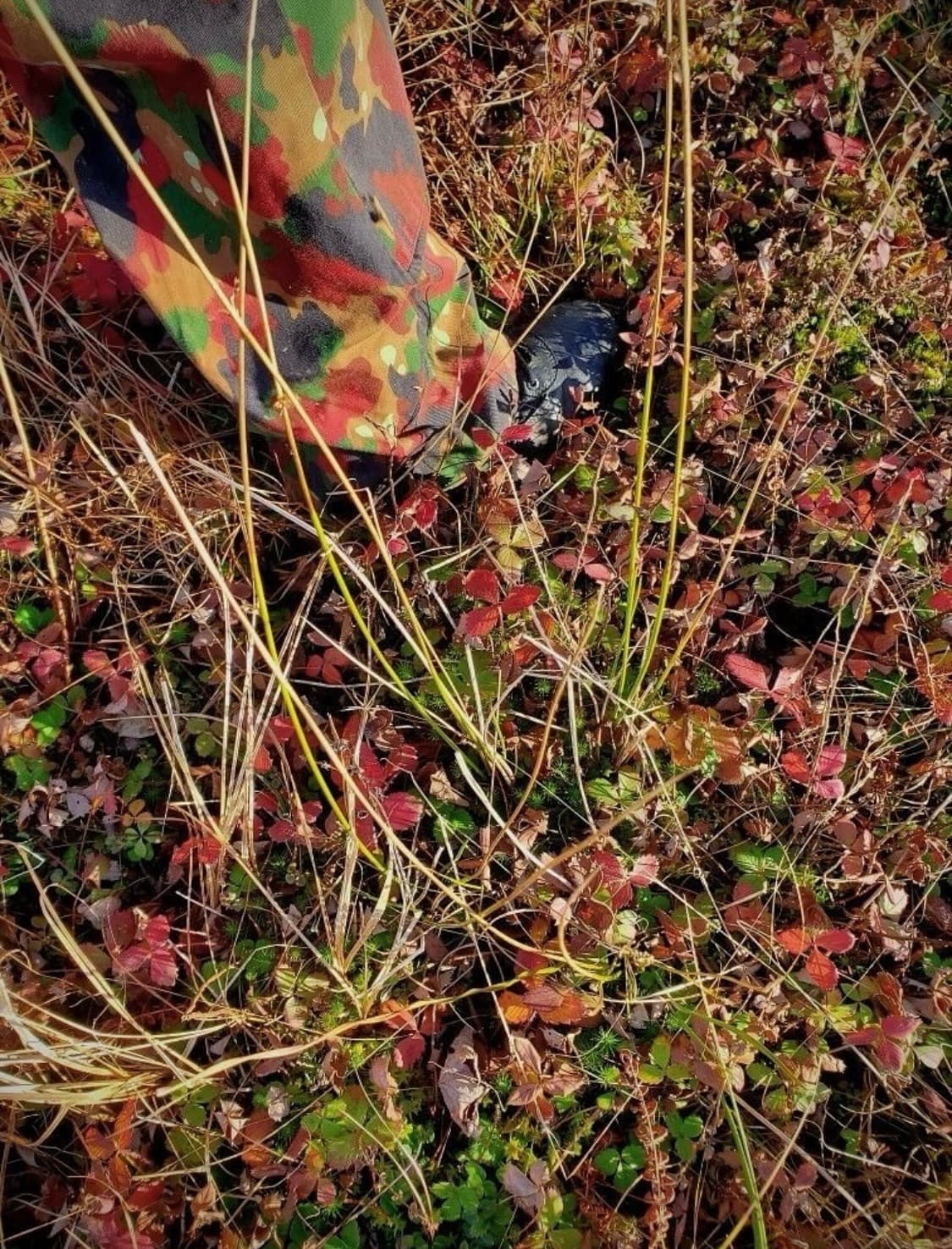 Swiss army M70 Jacket 상품이미지3