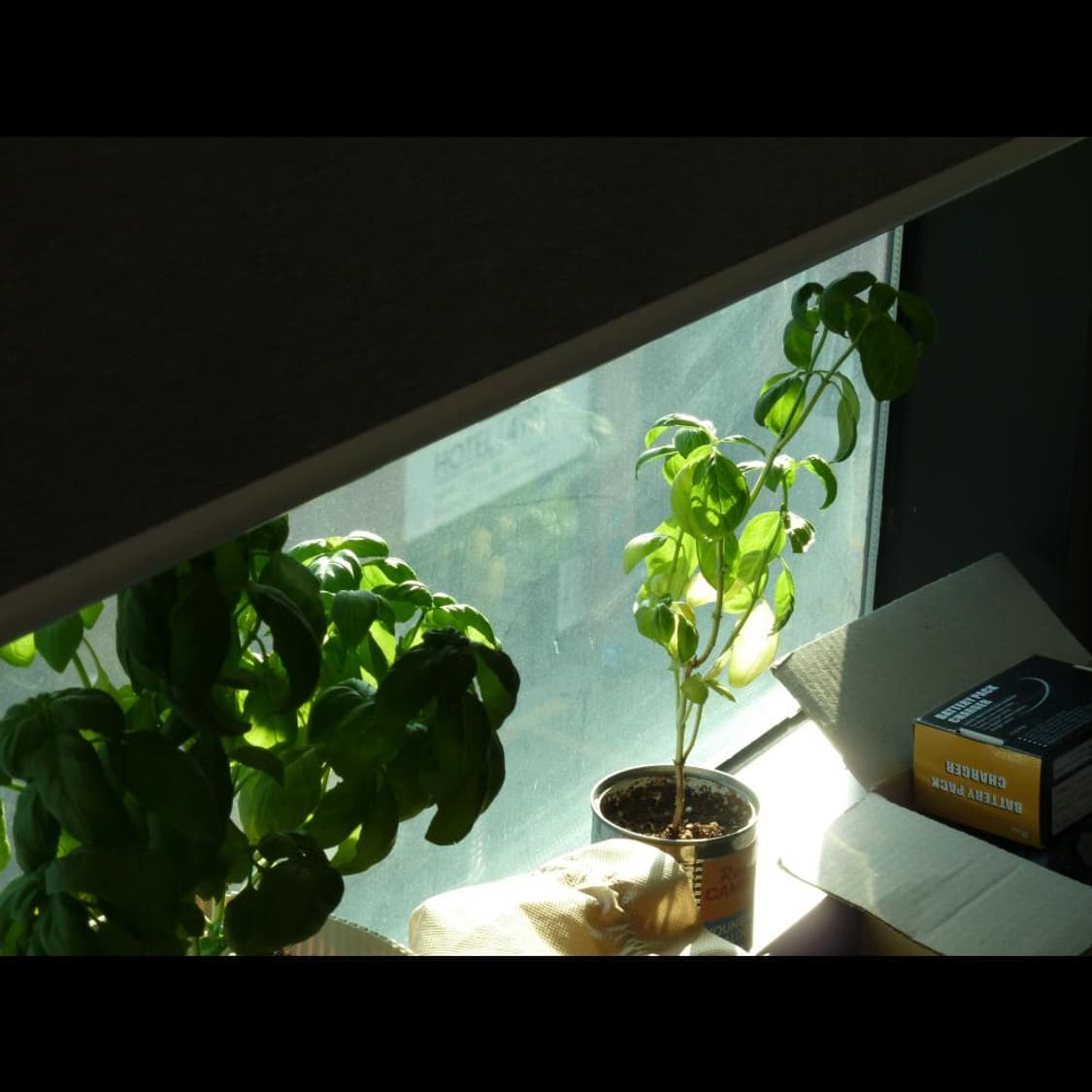 작례⭕️ 파나소닉  루믹스 DMC-TZ1 소프트스킨 ✨빈티지 디카  상품이미지9