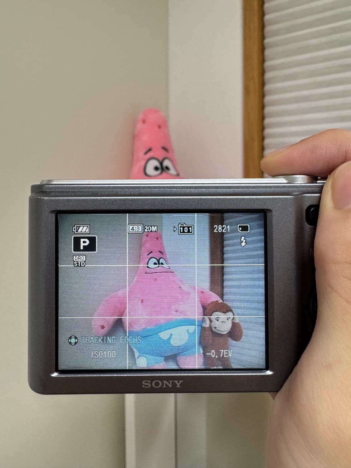 소니 사이버샷 DSC-W810 디카 디지털 카메라 (작례 포함) 상품이미지3