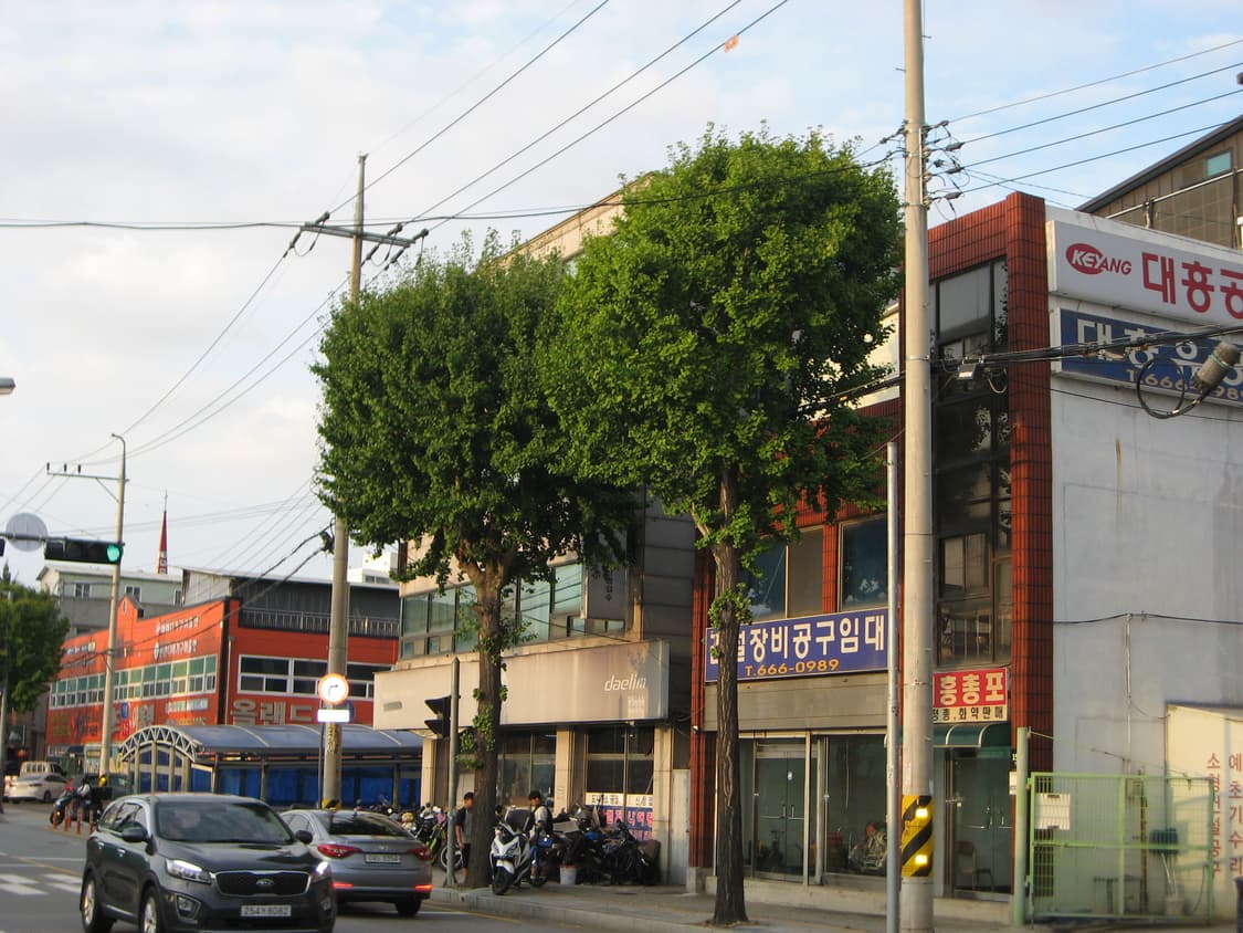 작례) 캐논 익서스 800is 판매합니다 상품이미지5