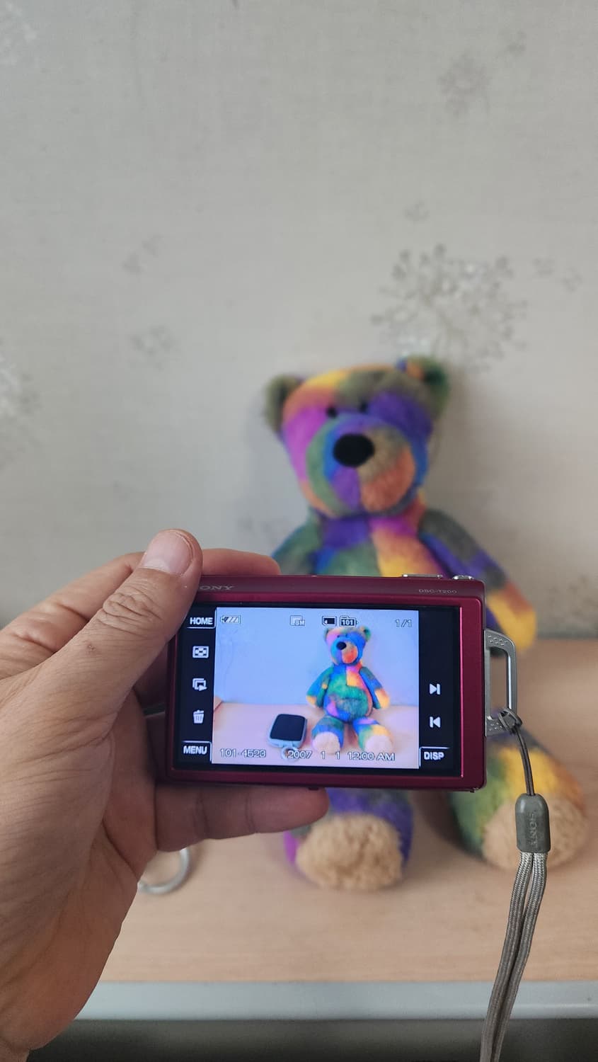 소니 디지털 카메라 DSC-T200 상품이미지8