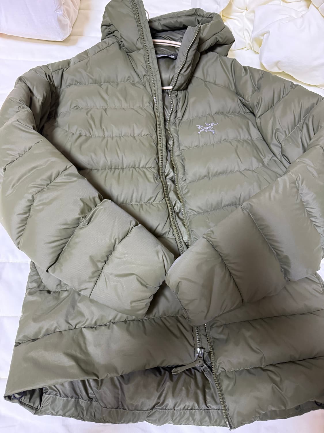 아크테릭스 토륨 후디 상품이미지5