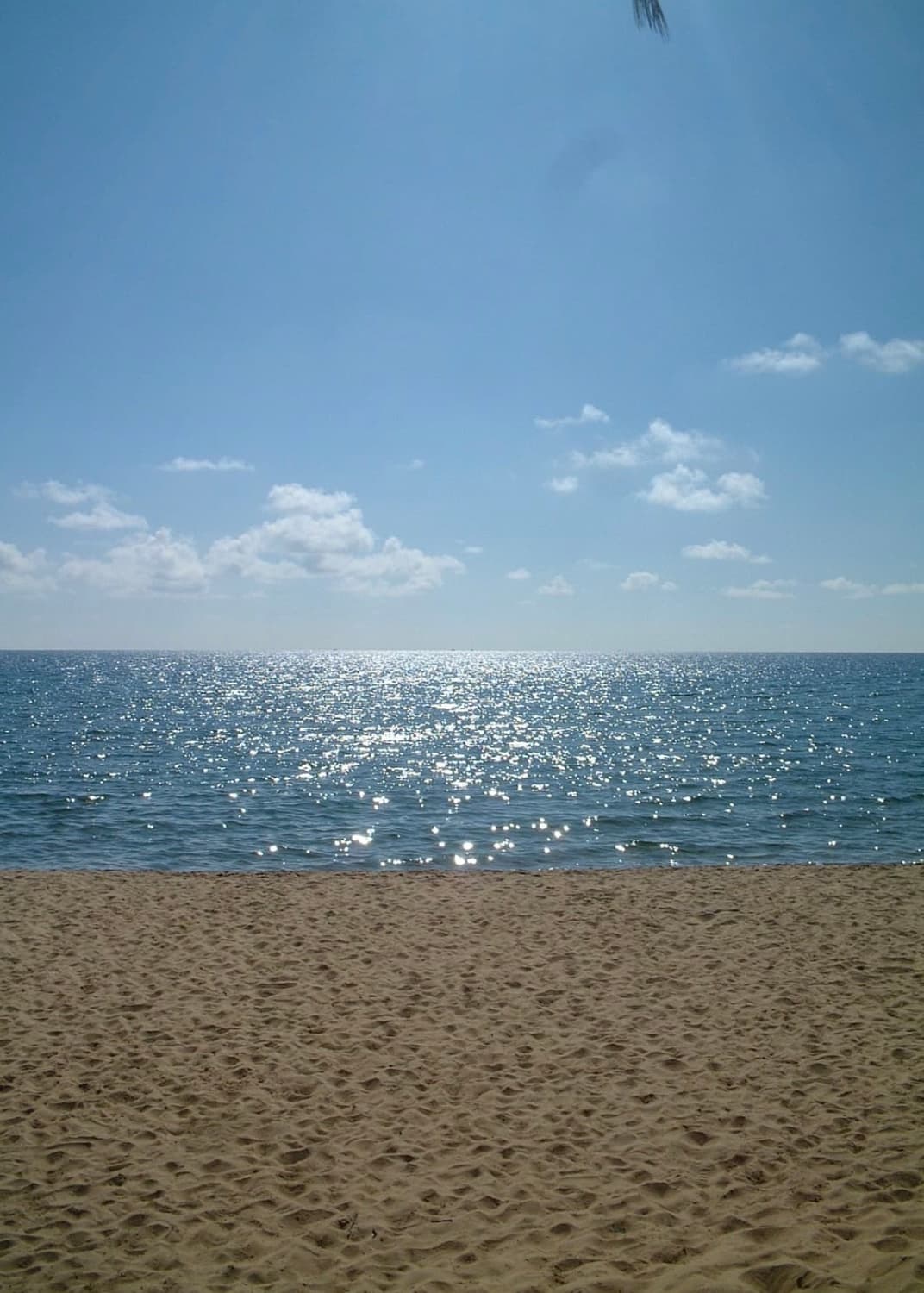 애정하는😍후지필름 파인픽스 40i 상품이미지3