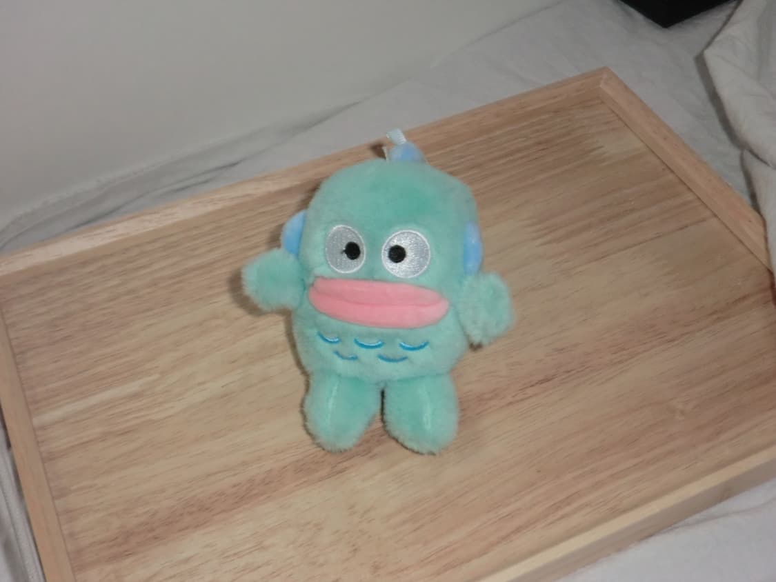 카시오 z2300 아일릿 모카 디카 casio ex-z2300 상품이미지9