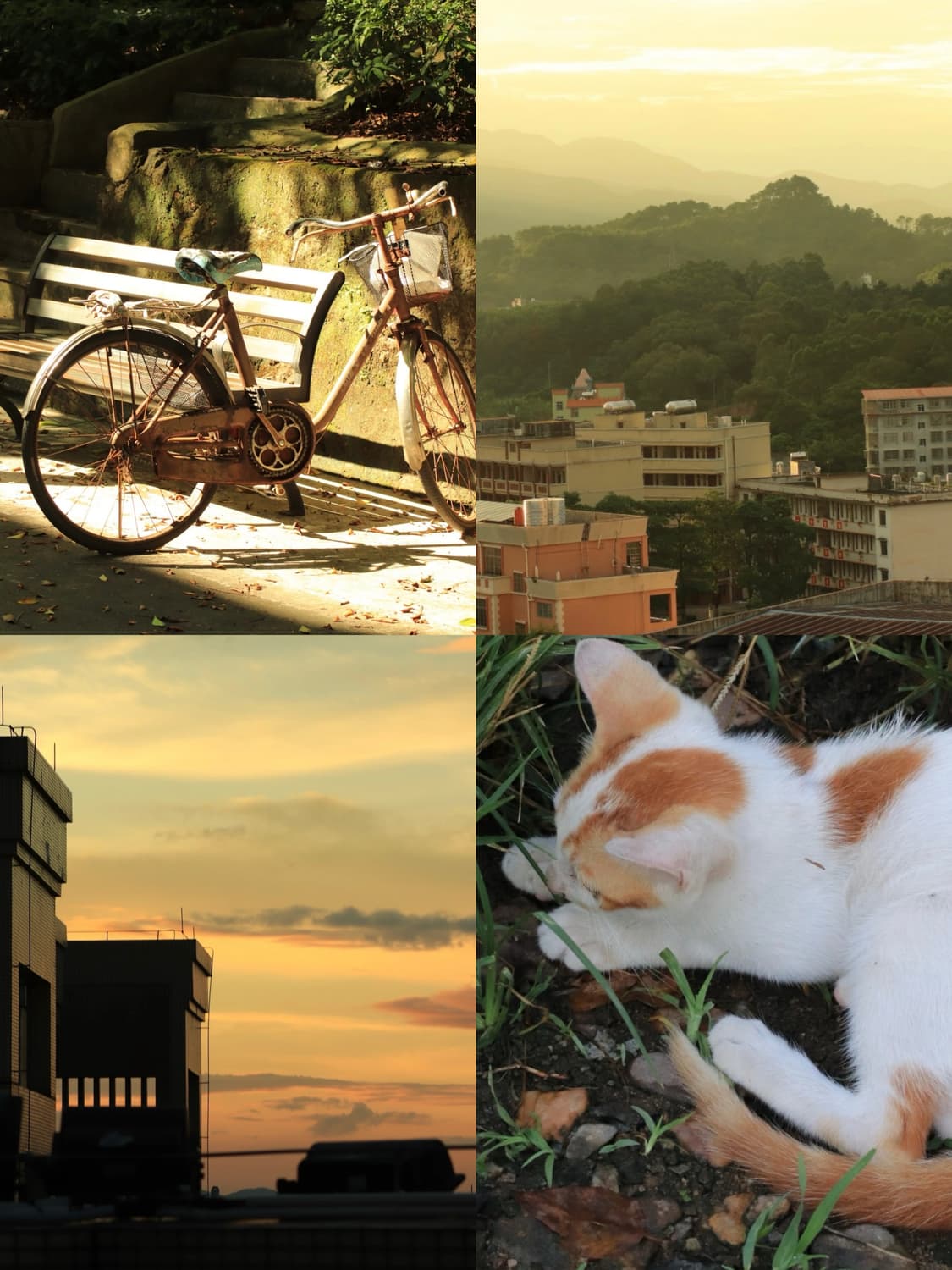 올림푸스 뮤 7040 | Olympus mju 7040 상품이미지2