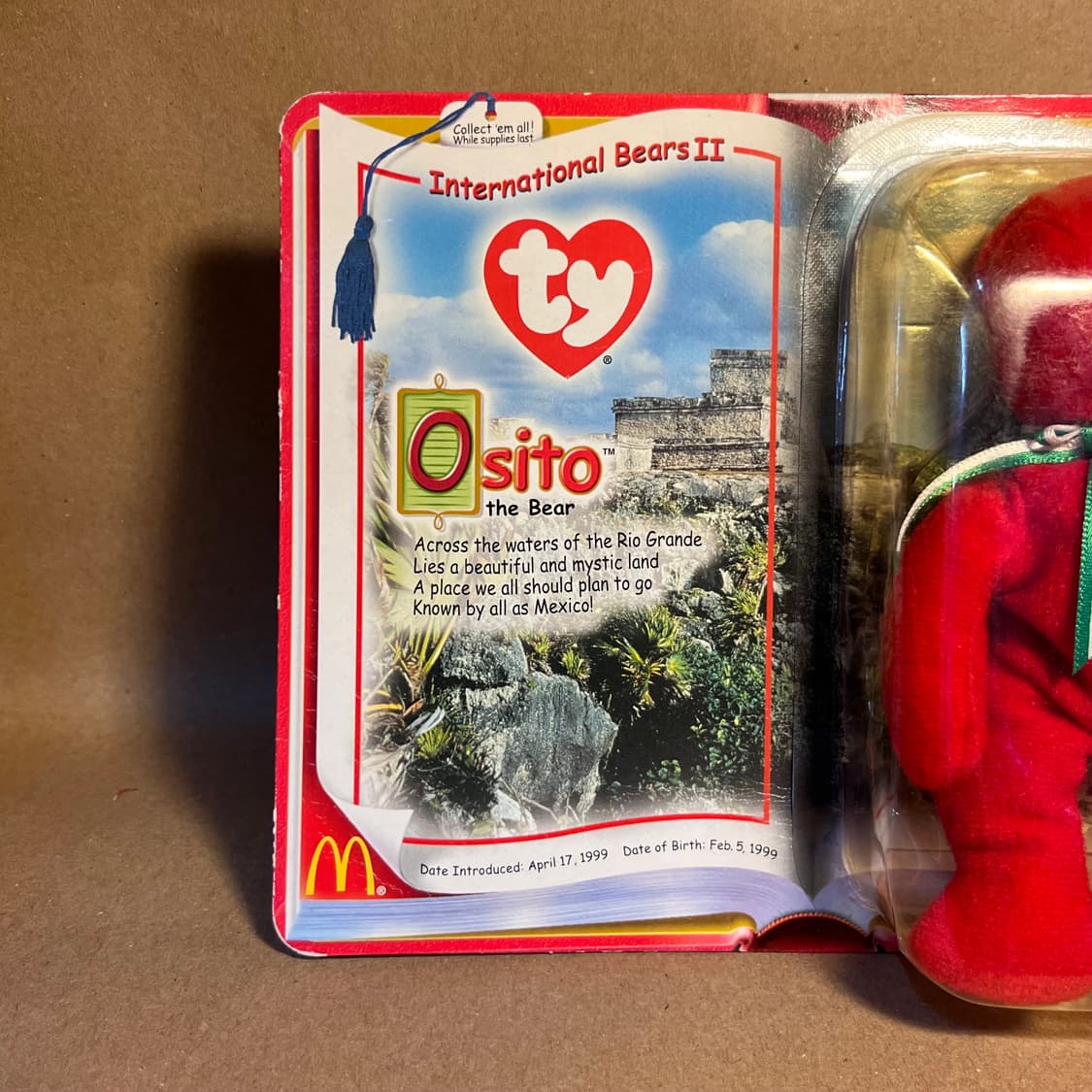 Ty베어 Osito the Bear 상품이미지2