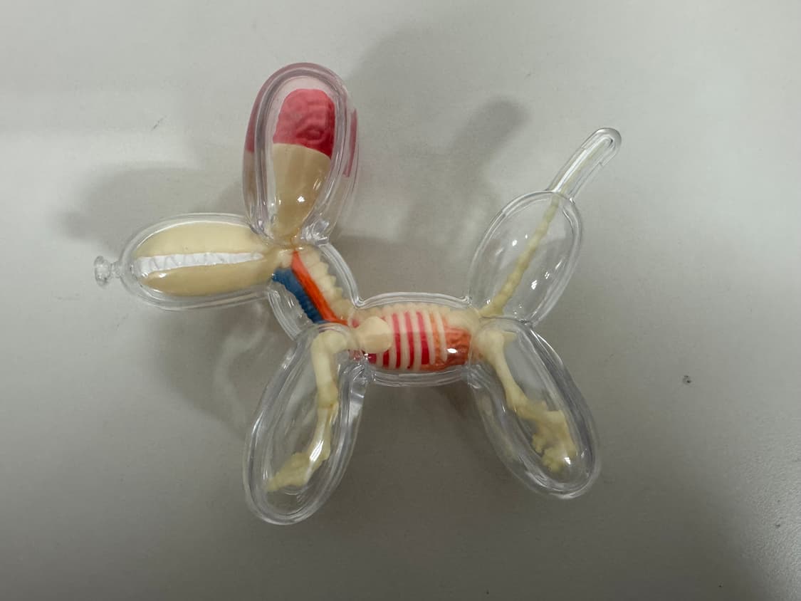 제이슨프리니 제프쿤스 4d마스터 벌룬독 아트토이 라지,스몰 세트 상품이미지8