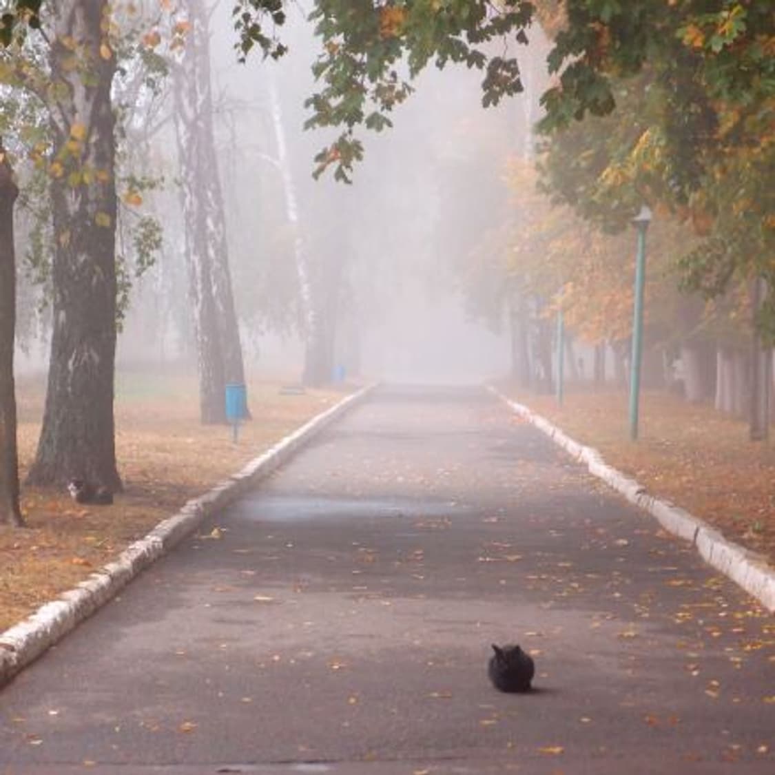 하이엔드✧･ﾟOlympus xz-1 올림푸스 xz-1 상품이미지3