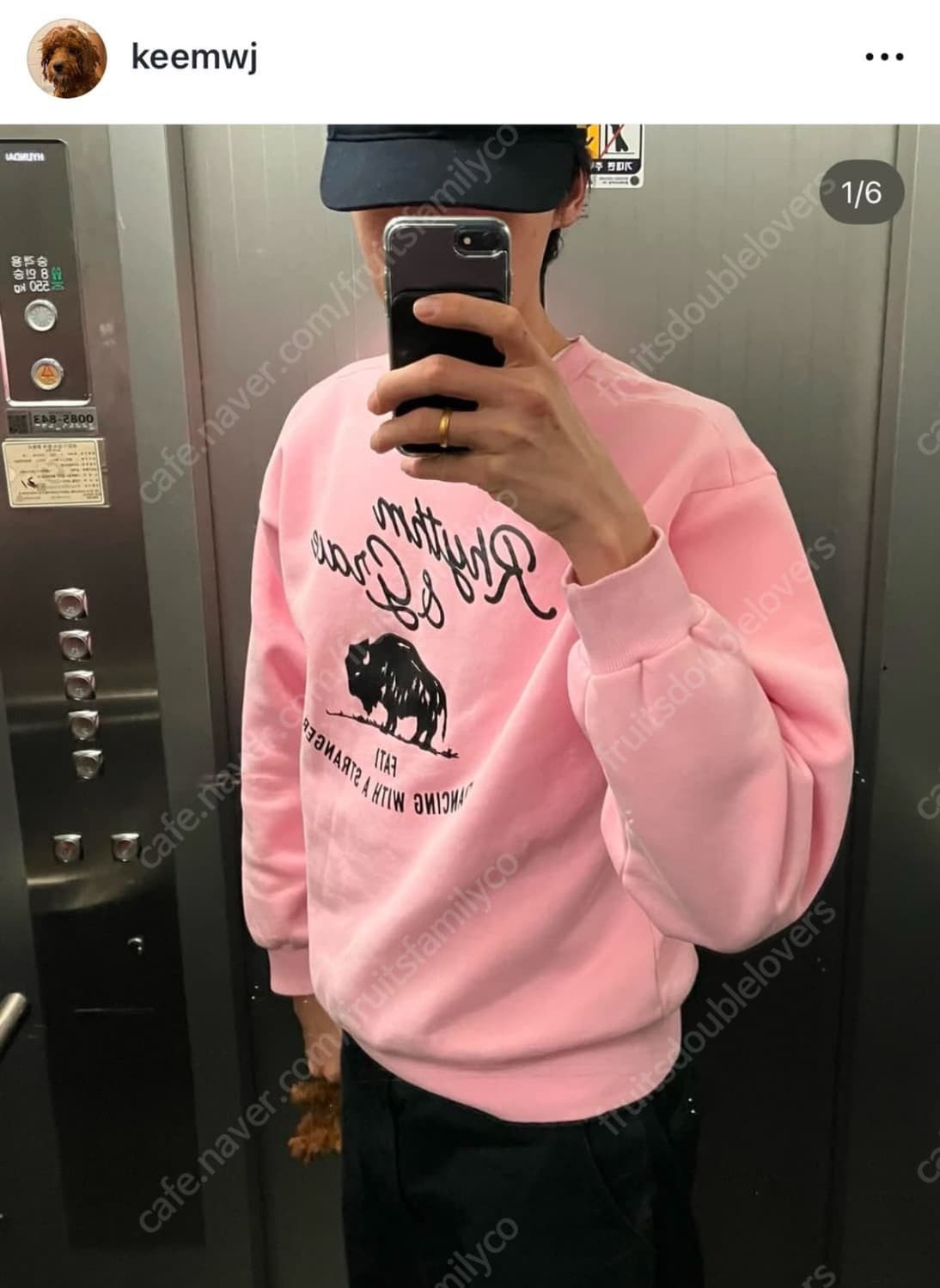 컬렉트피시스 스웻셔츠 맨투맨 M 상품이미지3