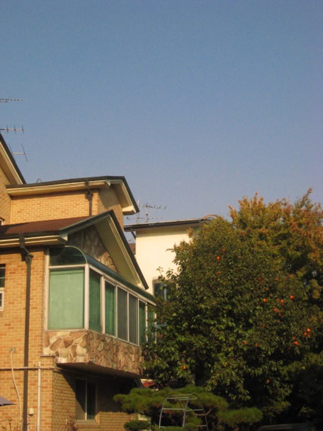 ★박스세트★ ixus 950 익서스950/ixy 810 판매합니다! 상품이미지8