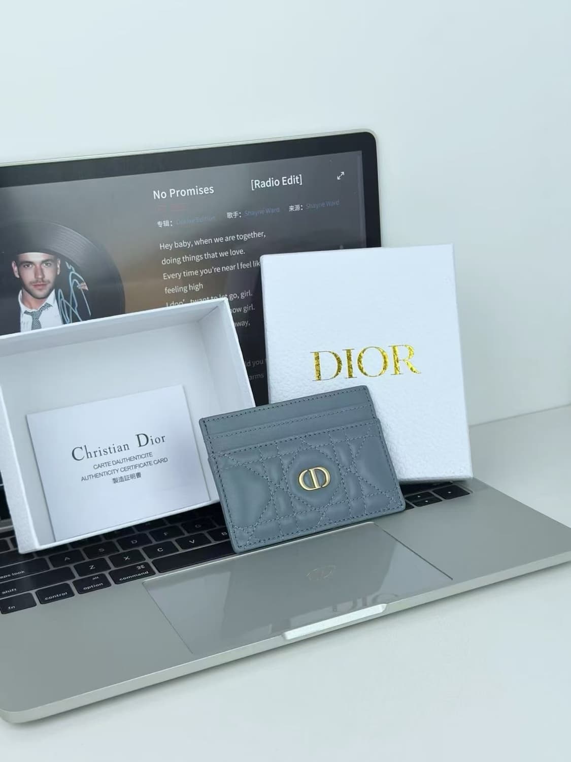 디올 카로 5 슬롯 카드 홀더 서플 까나쥬 카프스킨 클라우드 블루 상품이미지1