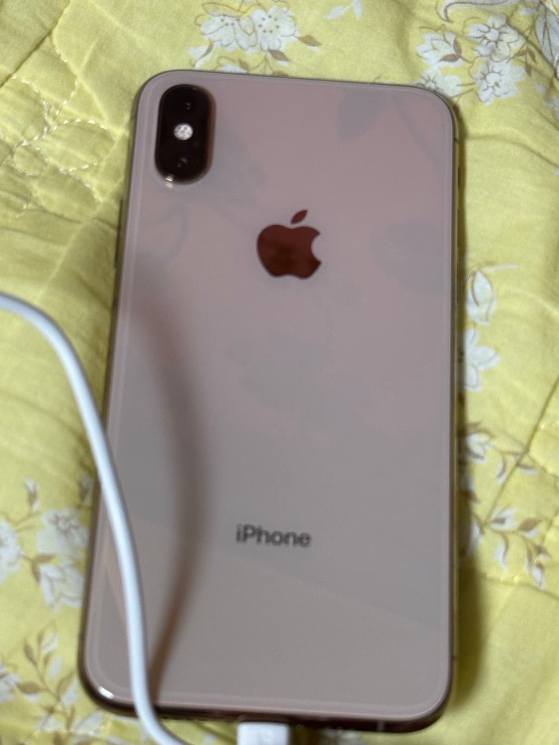 아이폰 xs 256 배터리 100 카메라 무음 상품이미지3