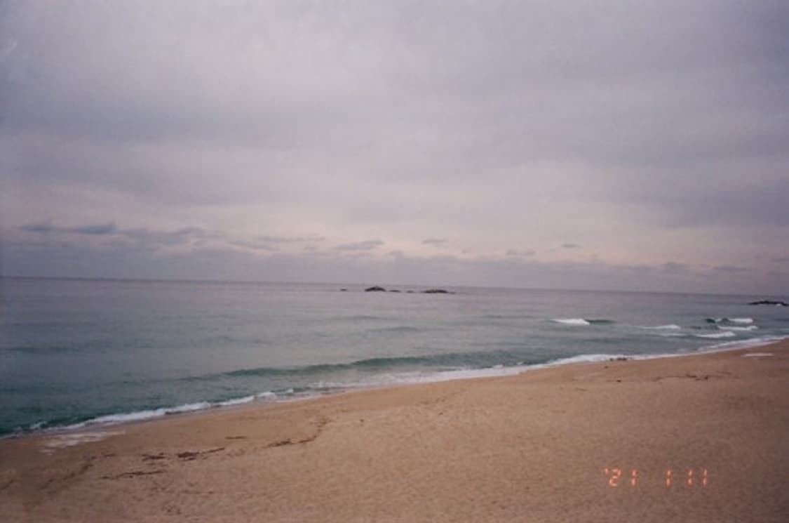 삼성 필름 카메라 상품이미지9