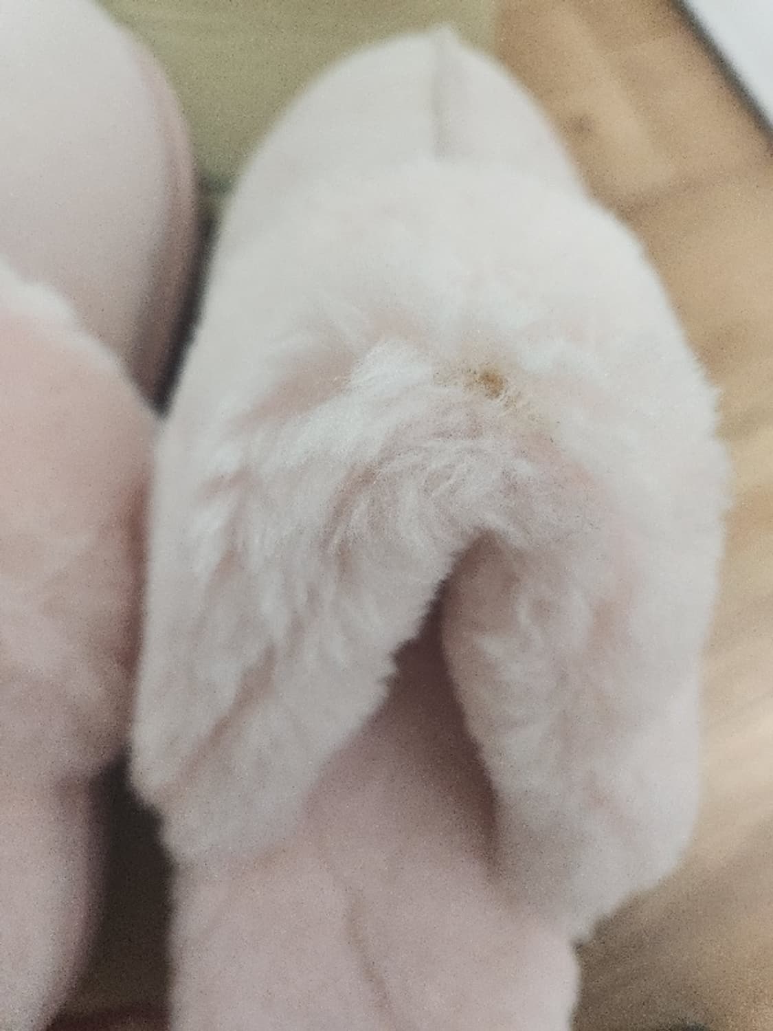 새상품 웨버 털슬리퍼250 상품이미지2